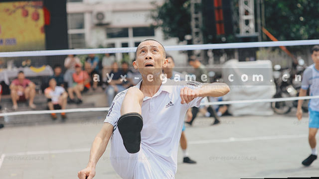 联系方式查询文本替代
